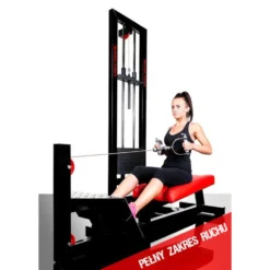 Station de musculation pour le dos à charges guidées - Back machine avec poignée de tirage pour salle d'entraînement pro