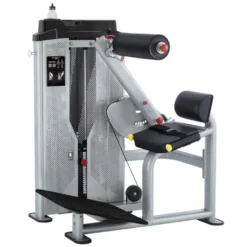 Station d'entraînement polyvalente professionnelle d'extension dorsale et abdominale