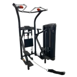 Station d'entraînement pour exercices de musculation - Chaise romaine traction et Dips
