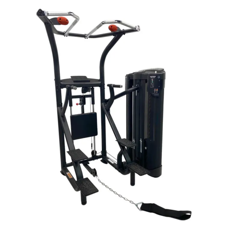Station d'entraînement pour exercices de musculation - Chaise romaine traction et Dips