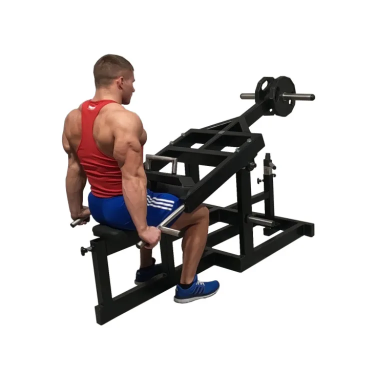 Station Dips press professionnelle à charge libre pour training complet des triceps - Disques de poids olympiques
