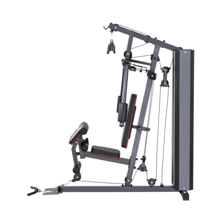 Station home gym de musculation à charges guidées avec colonne de poids 99 kg et pupitre à biceps
