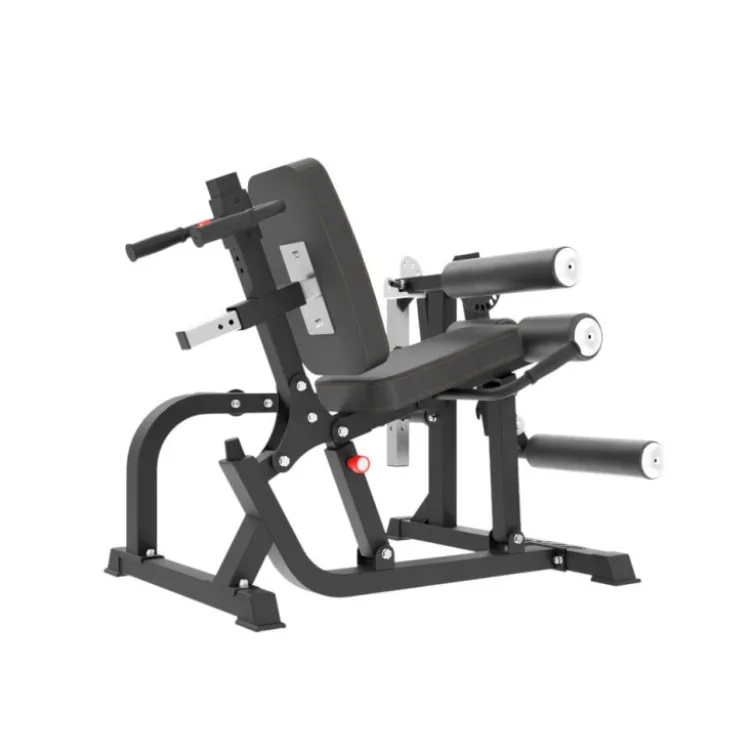 Station Leg Curl Extension à charge libre de qualité pour entraînement en Home-Gym - Capacité de charge 150 kg