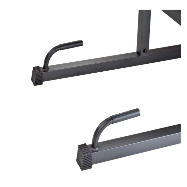 Station polyvalente Chaise romaine Tractions, Abdominaux, Dips et Pompes