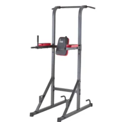 Station polyvalente Chaise romaine Tractions, Abdominaux, Dips et Pompes
