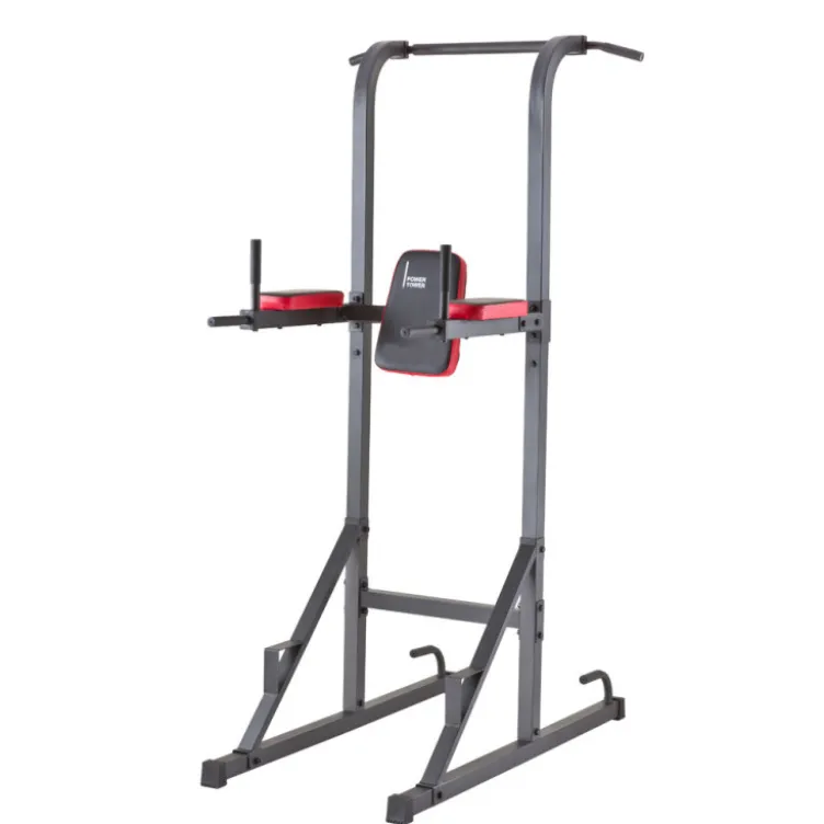 Station polyvalente Chaise romaine Tractions, Abdominaux, Dips et Pompes