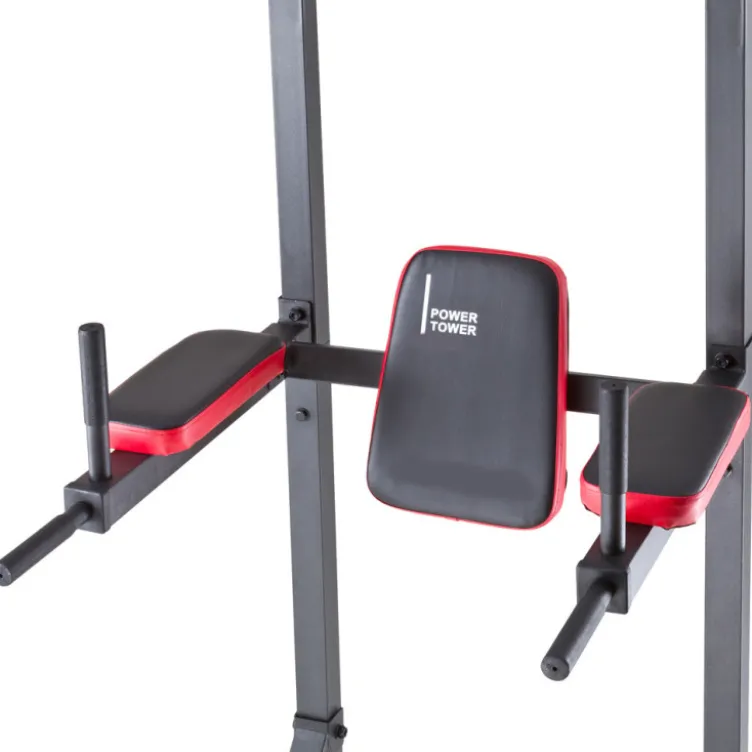 Station polyvalente Chaise romaine Tractions, Abdominaux, Dips et Pompes