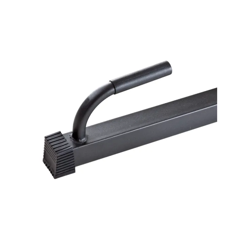 Station polyvalente Chaise romaine Tractions, Abdominaux, Dips et Pompes