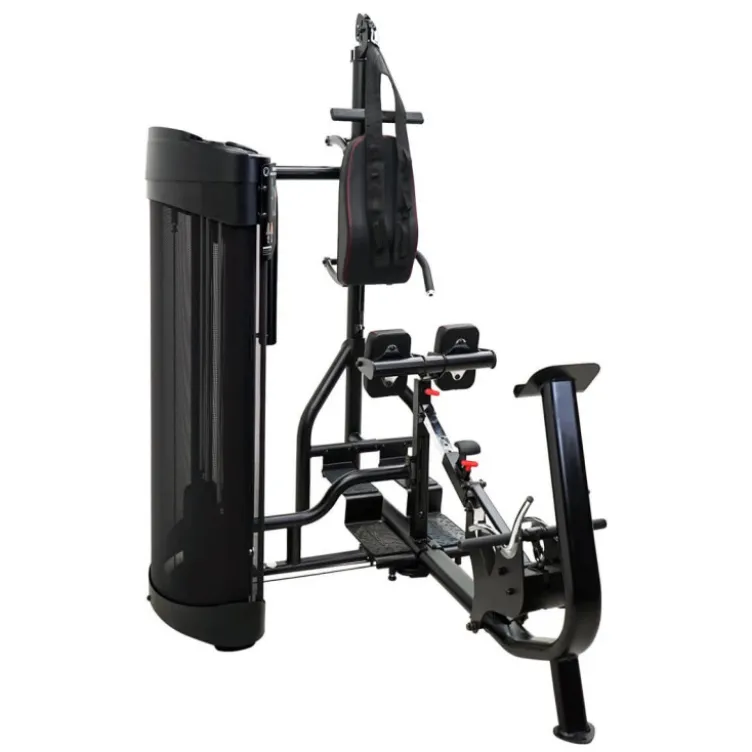 Station pour les abdominaux et le dos - Home gym de musculation - Dual Station Ab/Back
