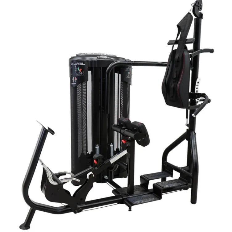 Station pour les abdominaux et le dos - Home gym de musculation - Dual Station Ab/Back