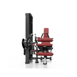 Station professionnelle complète Leg extension et Leg curl