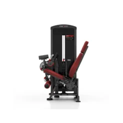 Station professionnelle complète Leg extension et Leg curl