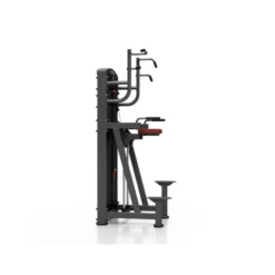 Station professionnelle Traction et Dips assistés avec colonne de poids 100 kg