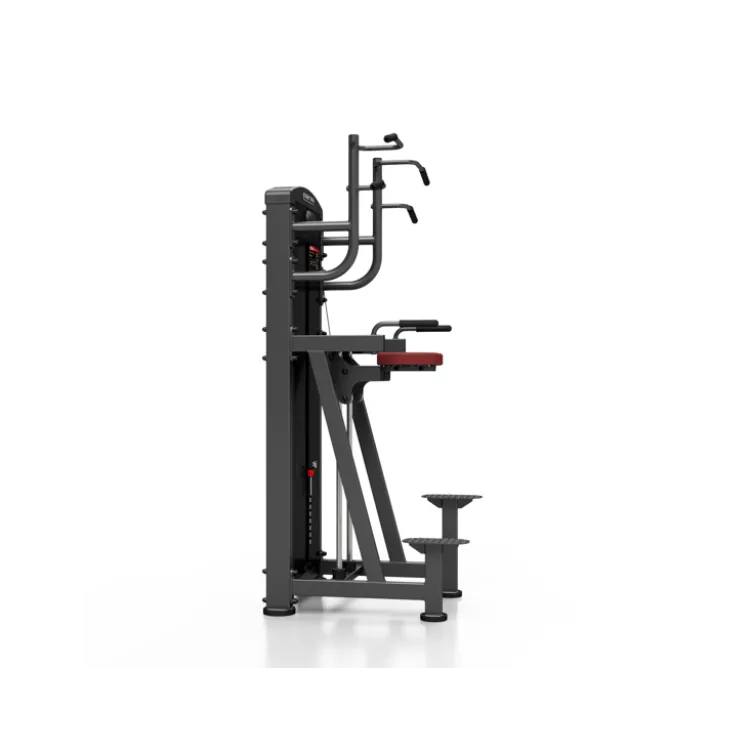 Station professionnelle Traction et Dips assistés avec colonne de poids 100 kg