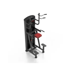 Station professionnelle Traction et Dips assistés avec colonne de poids 100 kg
