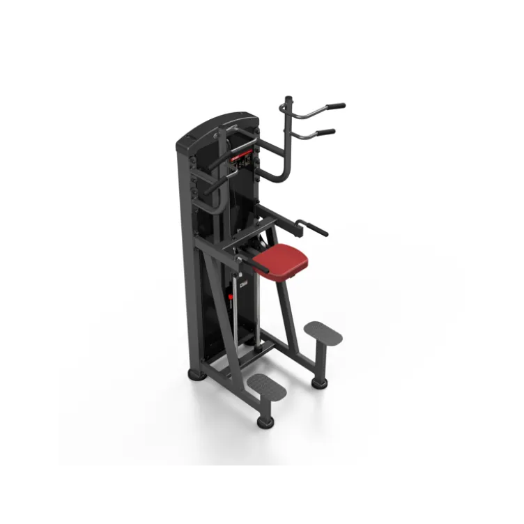 Station professionnelle Traction et Dips assistés avec colonne de poids 100 kg