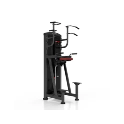 Station professionnelle Traction et Dips assistés avec colonne de poids 100 kg