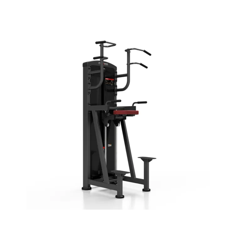 Station professionnelle Traction et Dips assistés avec colonne de poids 100 kg