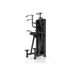 Station professionnelle Traction et Dips assistés avec colonne de poids 100 kg
