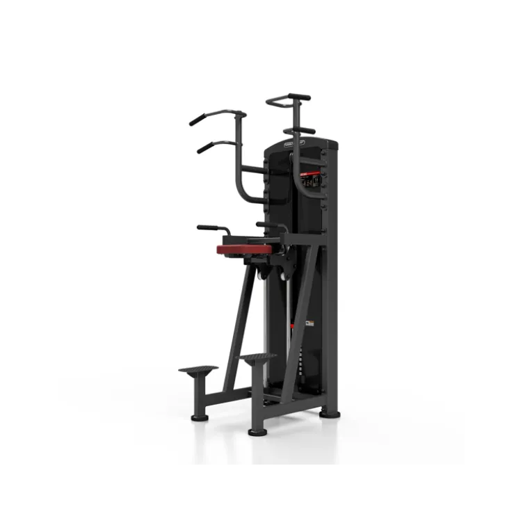 Station professionnelle Traction et Dips assistés avec colonne de poids 100 kg
