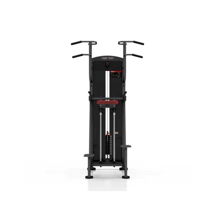 Station professionnelle Traction et Dips assistés avec colonne de poids 100 kg