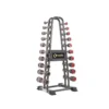 Support de stockage avec 10 crochets pour haltères - Capacité de charge maximale 200 kg