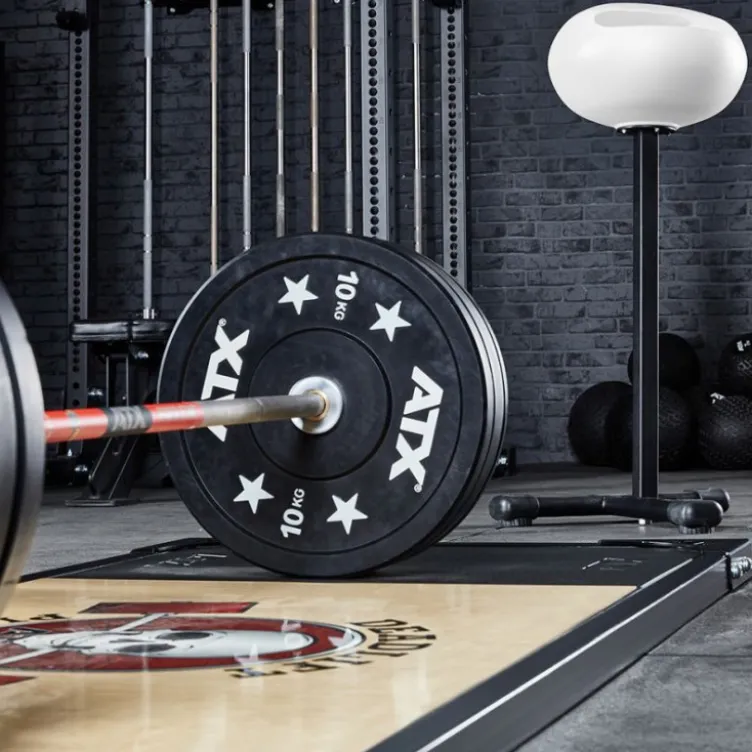 Support de stockage pour magnésie en forme de boule avec pieds en acier stable pour salle de sport