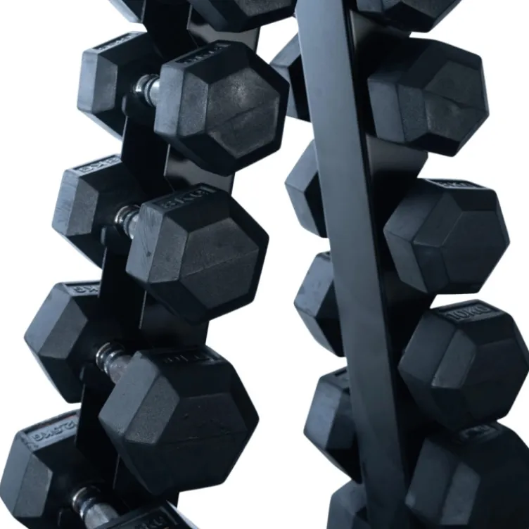 Support de stockage vertical pour 10 paires d'haltères max 350 kg - Rack de rangement professionnel pour haltères