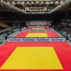 Tatami de compétitions approuvé FIJ 200 x 100 x 5 cm - Tapis haut de gamme pour sports de combat