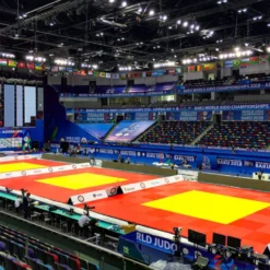 Tatami de compétitions approuvé FIJ 200 x 100 x 5 cm - Tapis haut de gamme pour sports de combat
