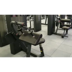 Triceps extensions machine à charge guidée 86 kg - Qualité professionnelle