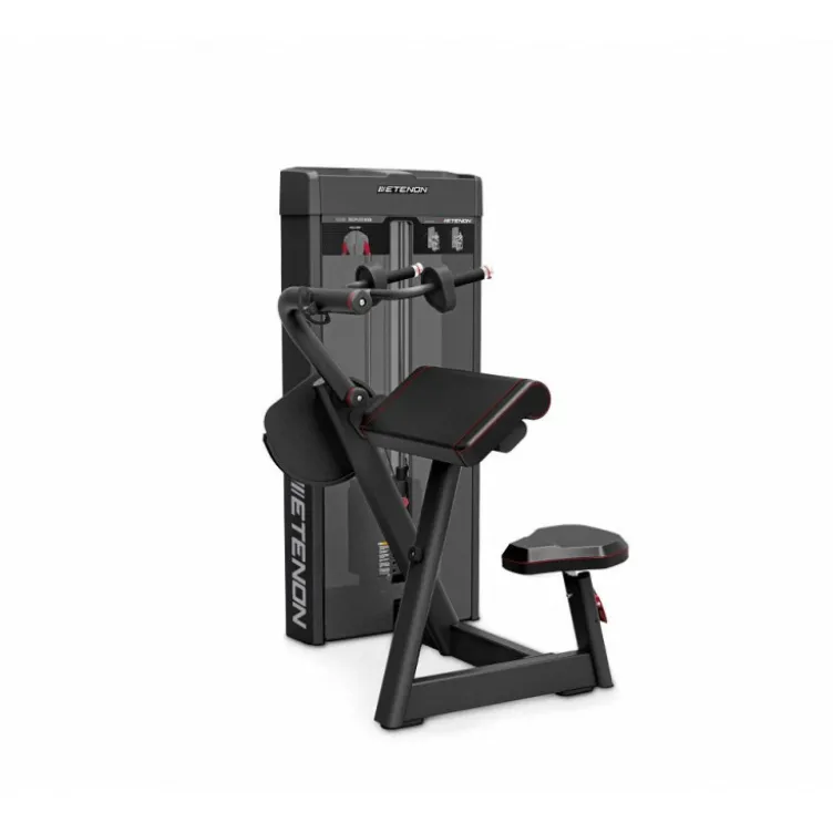 Triceps extensions machine à charge guidée 86 kg - Qualité professionnelle